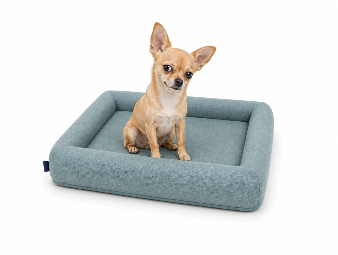Calm Memory Pet | Cama de perro CALM - CALM
