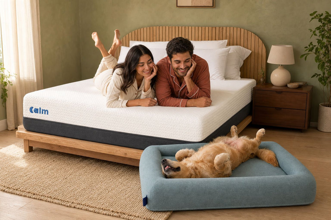 Calm Memory Pet | Cama de perro CALM - CALM
