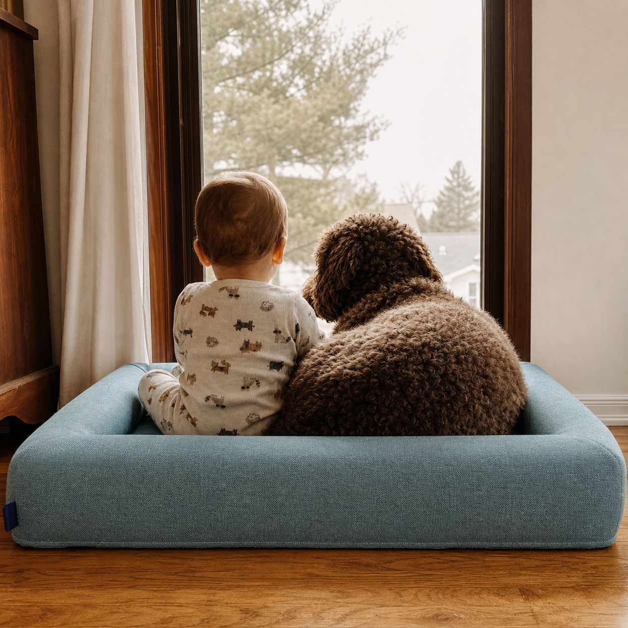 Calm Memory Pet | Cama de perro CALM - CALM