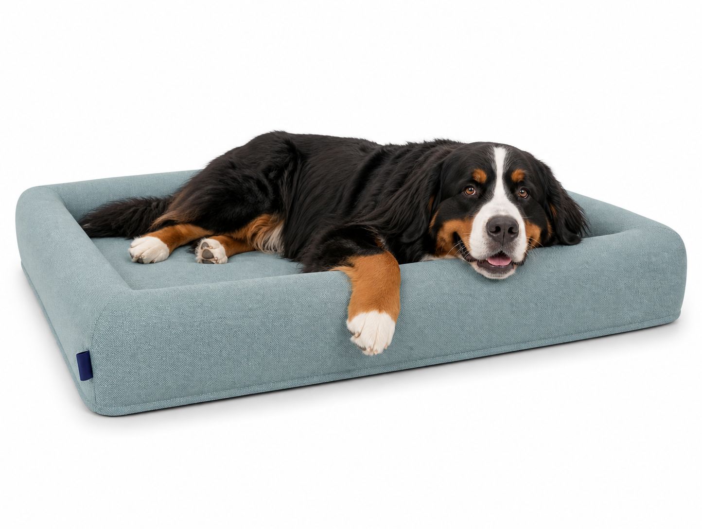 Calm Memory Pet | Cama de perro CALM - CALM
